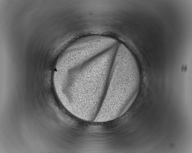 X0000115380066200911241313