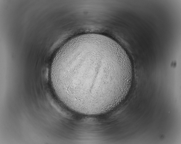 X0000115380067200911241313