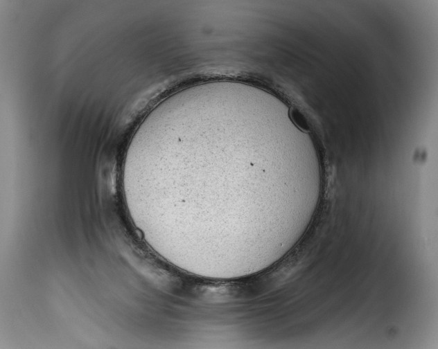 X0000115380068200911241313