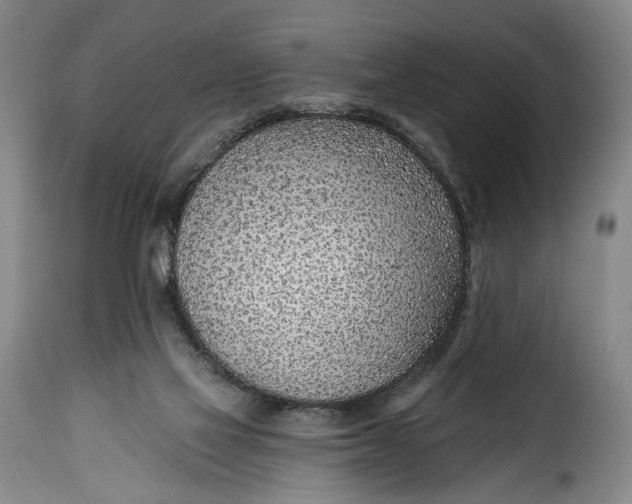 X0000115380069200911241313