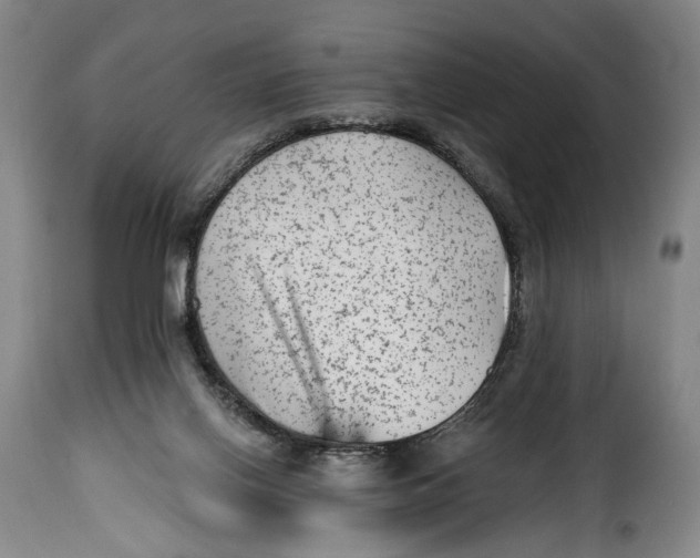 X0000115380070200911241313