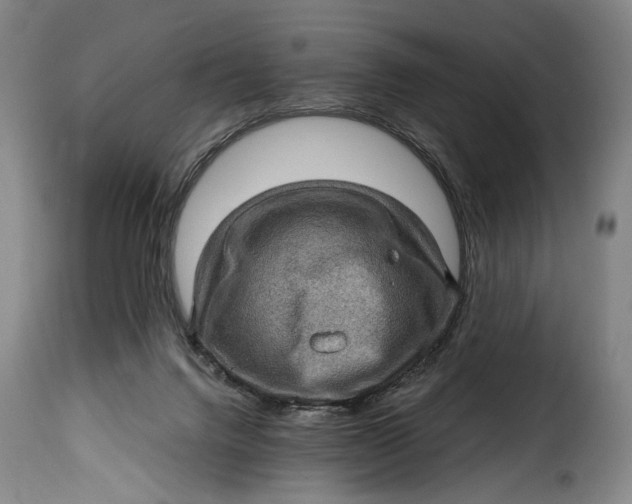 X0000115380072200911241313