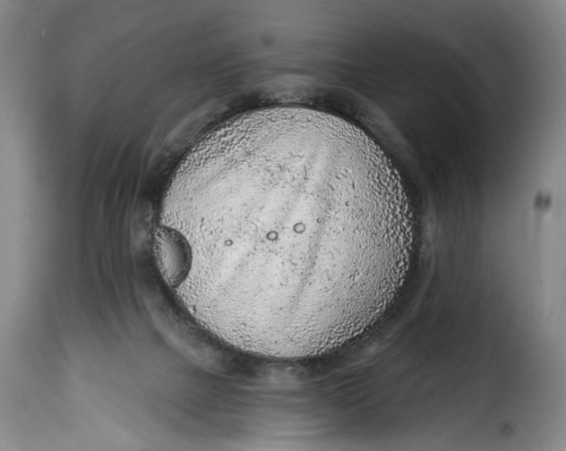 X0000115380073200911241313