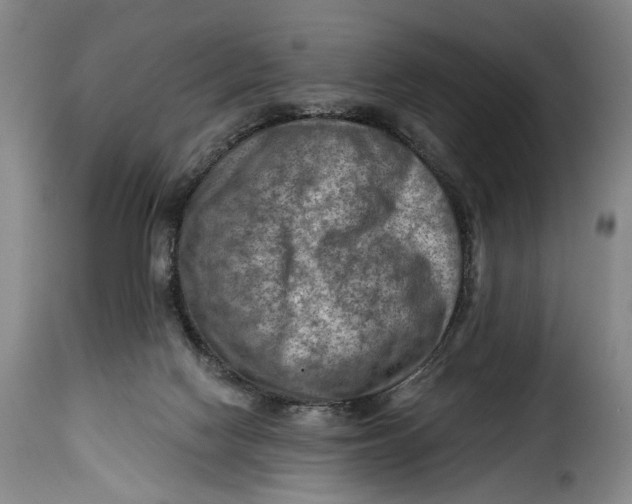 X0000115380074200911241313