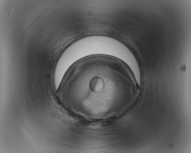 X0000115380076200911241313