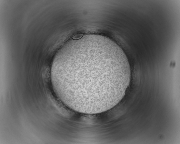 X0000115380079200911241313