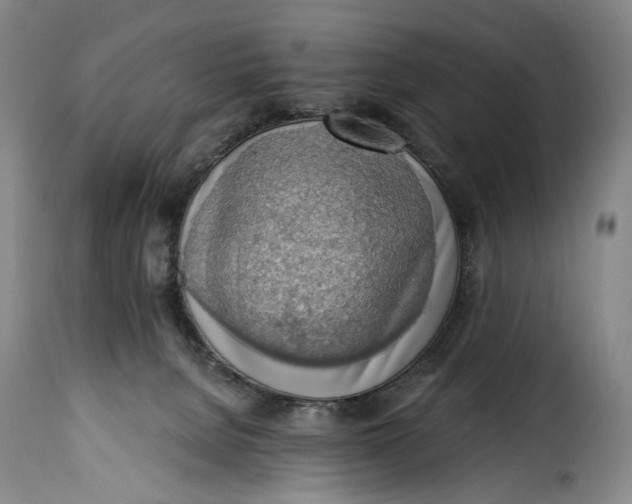 X0000115380080200911241313