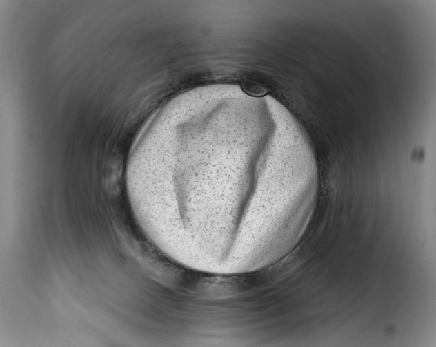 X0000115380082200911241313