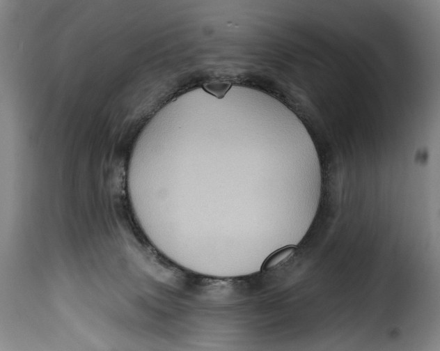 X0000115380083200911241313