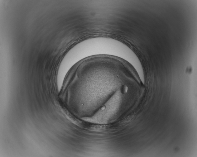 X0000115380084200911241313