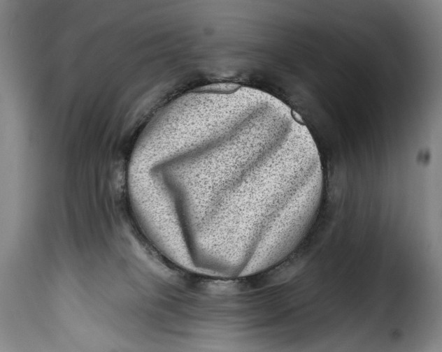 X0000115380085200911241313