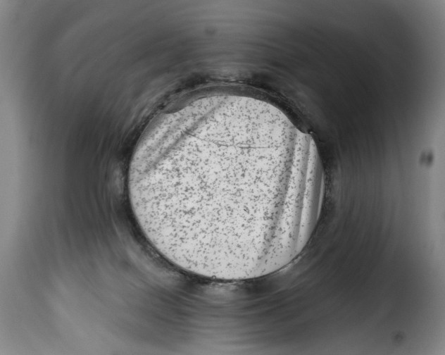 X0000115380086200911241313