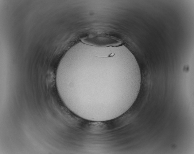 X0000115380087200911241313