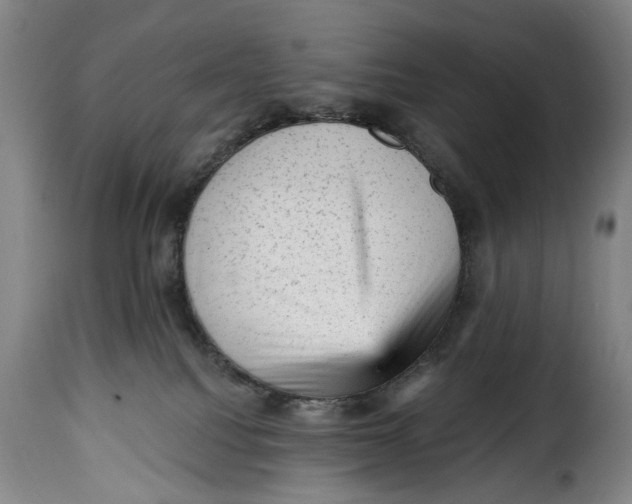 X0000115380088200911241313