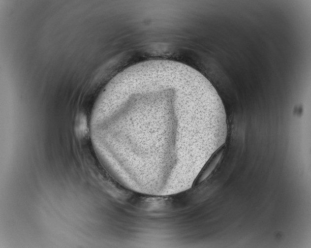 X0000115380089200911241313