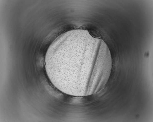 X0000115380090200911241313