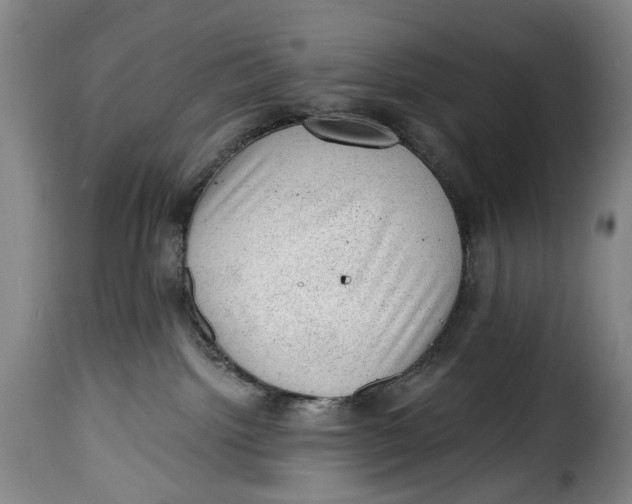 X0000115380092200911241313