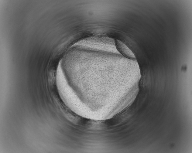 X0000115380093200911241313