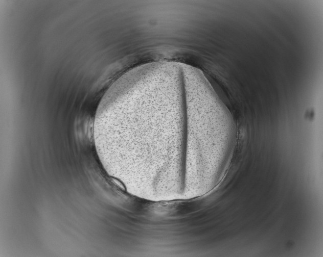 X0000115380094200911241313