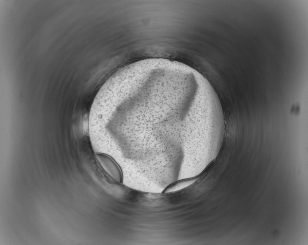 X0000115380095200911241313