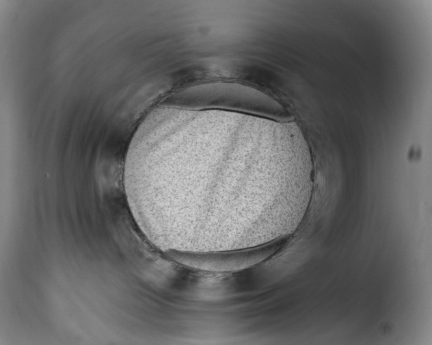 X0000115380096200911241313