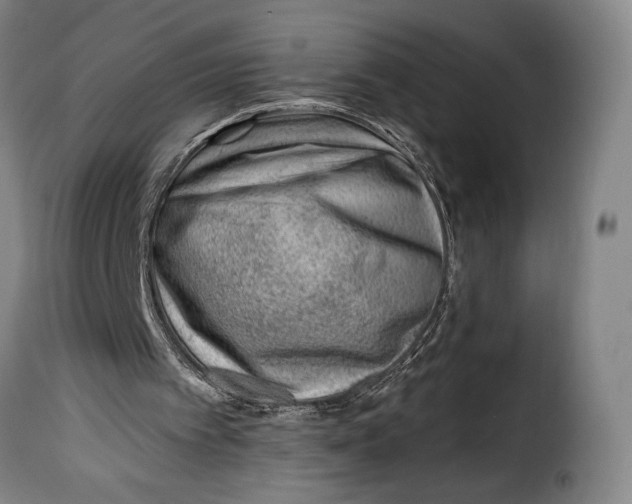 X0000115380097200911241312