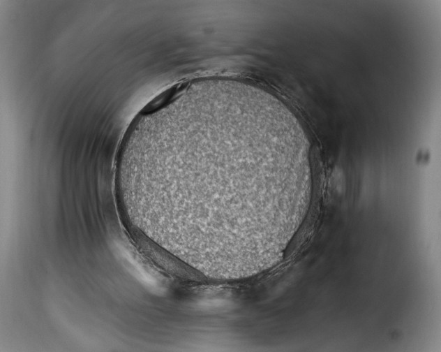 X0000115380100200911241312