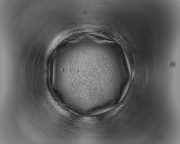 X0000115380101200911241312