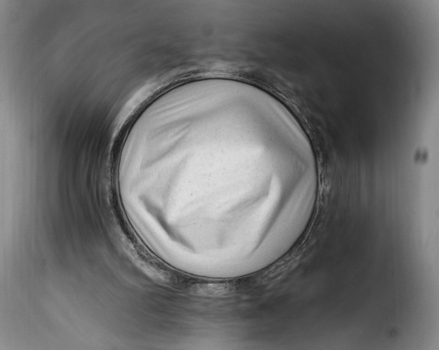 X0000115380102200911241312