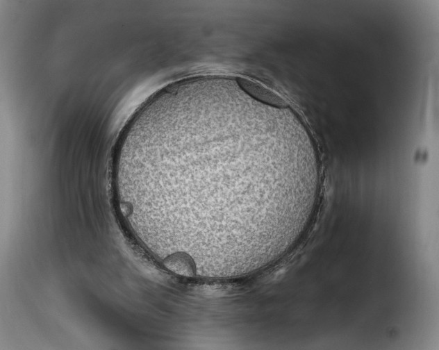 X0000115380103200911241312