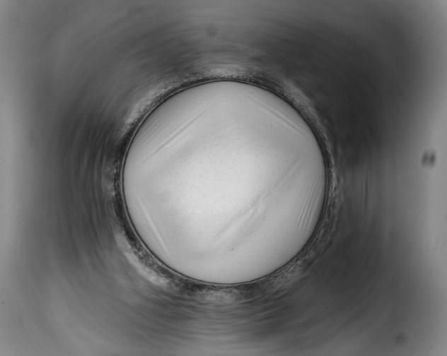 X0000115380106200911241312