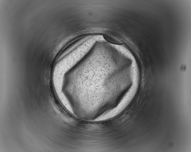 X0000115380107200911241312