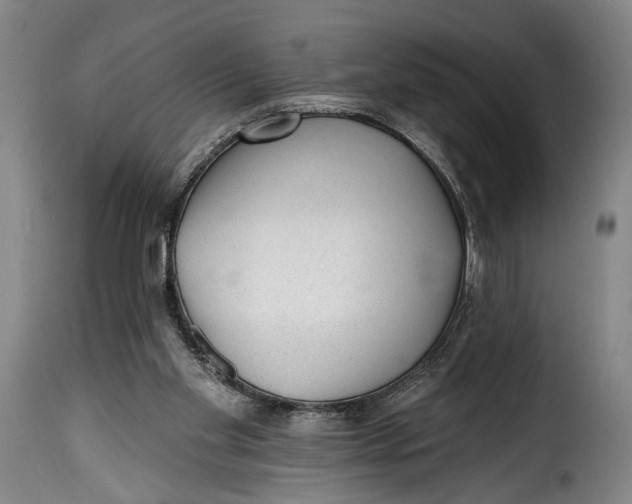 X0000115380109200911241312