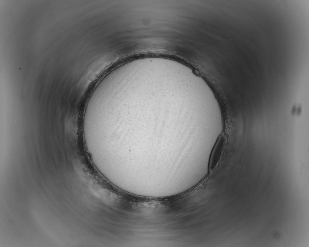 X0000115380112200911241312