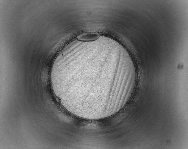 X0000115380113200911241312