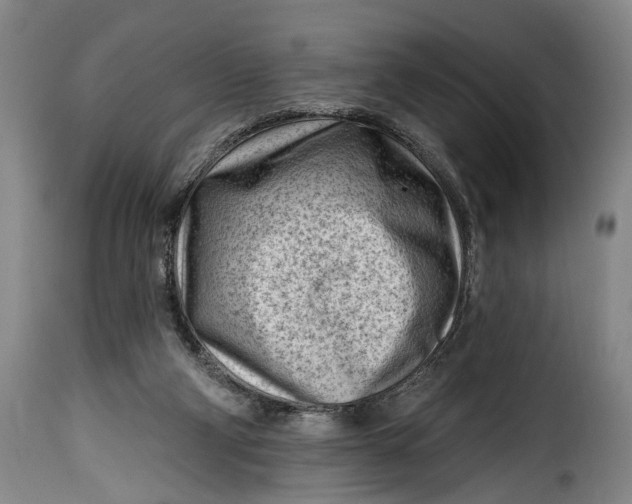 X0000115380114200911241312