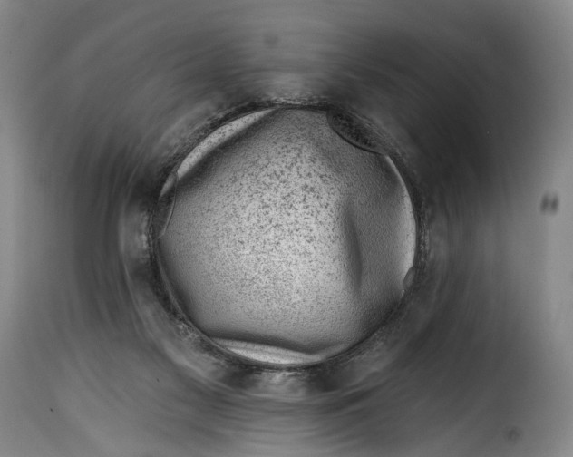 X0000115380117200911241312