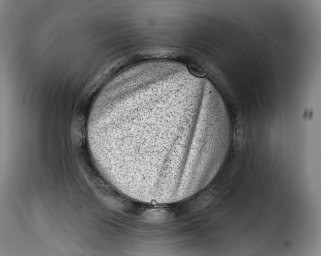 X0000115380119200911241312