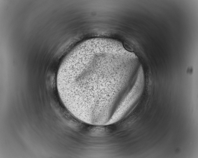 X0000115380123200911241312