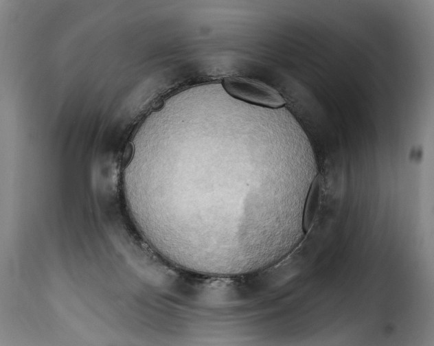 X0000115380124200911241312