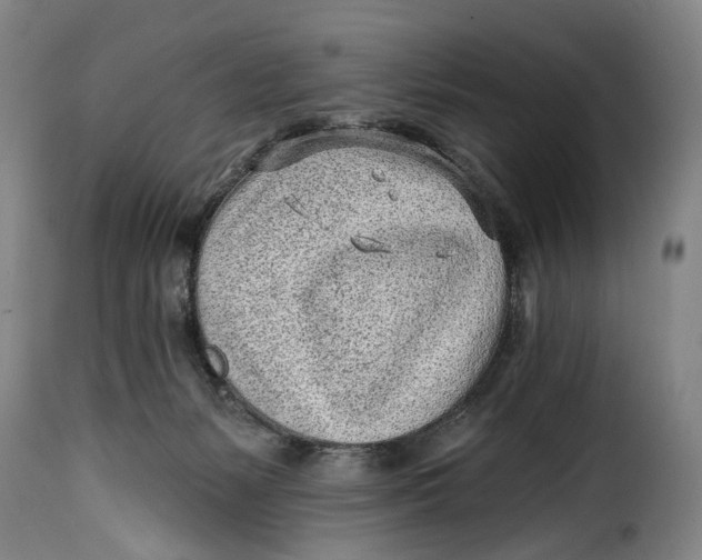 X0000115380127200911241312