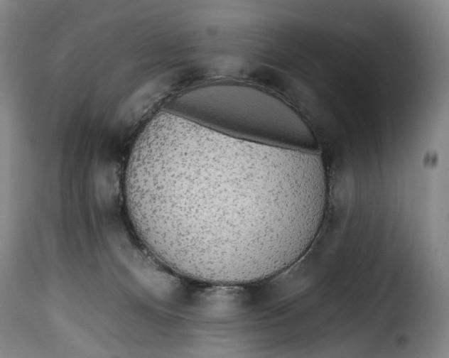 X0000115380128200911241312