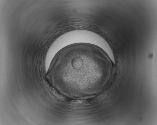 X0000115380129200911241312