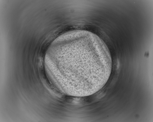 X0000115380130200911241312