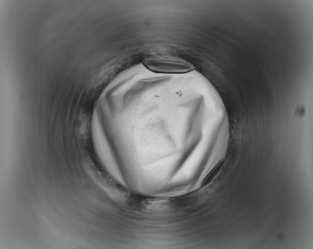 X0000115380132200911241312