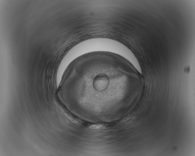 X0000115380133200911241312