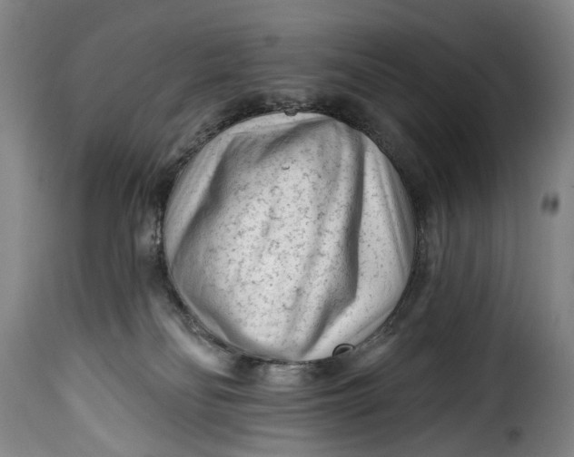 X0000115380134200911241312