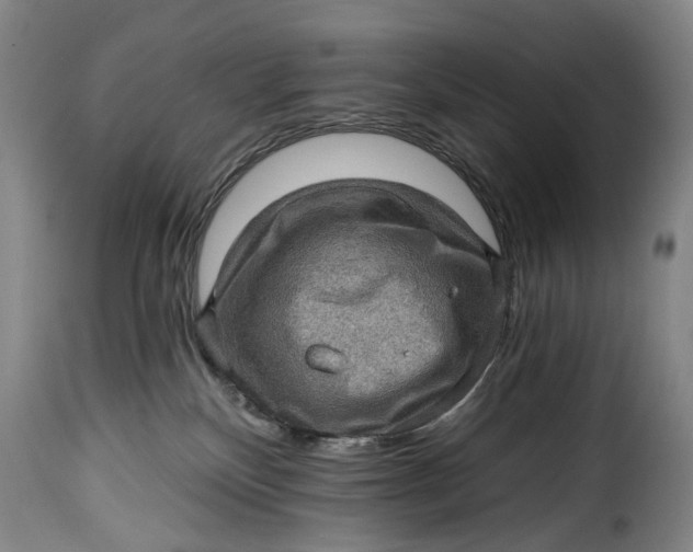 X0000115380136200911241312