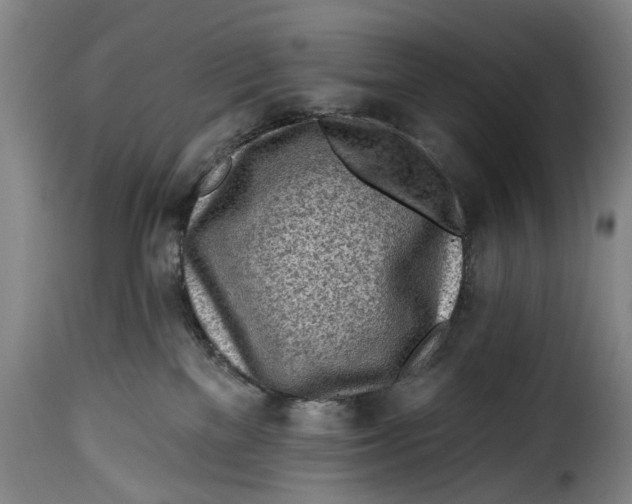 X0000115380137200911241312