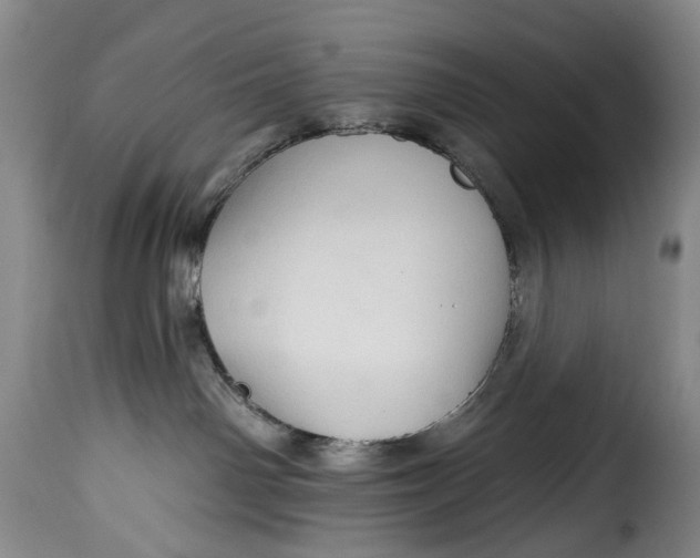 X0000115380142200911241312